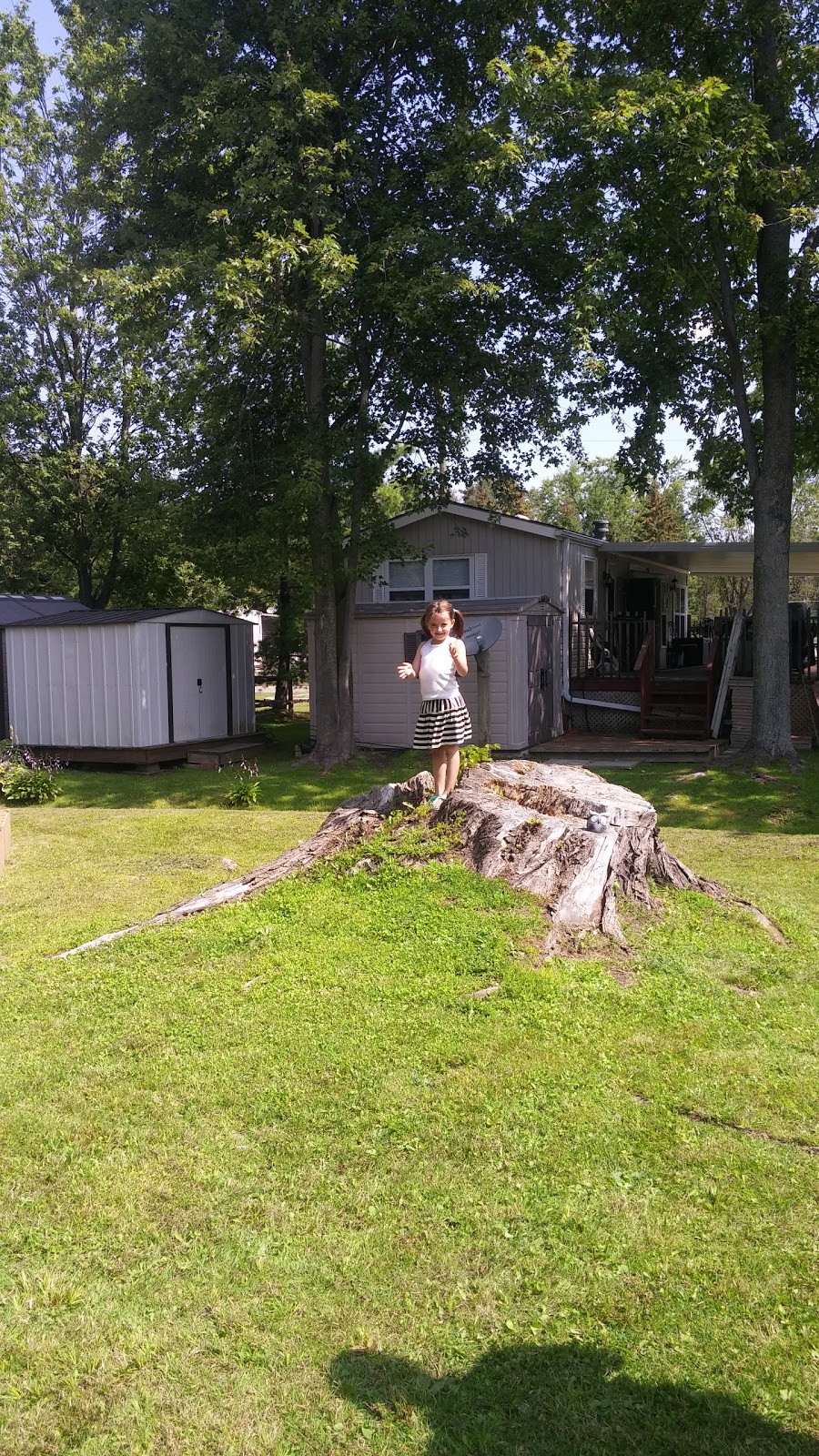 Hillside Lake Park | 673 Brant-Waterloo Rd, Ayr, ON N0B 1E0, Canada | Phone: (519) 632-7572