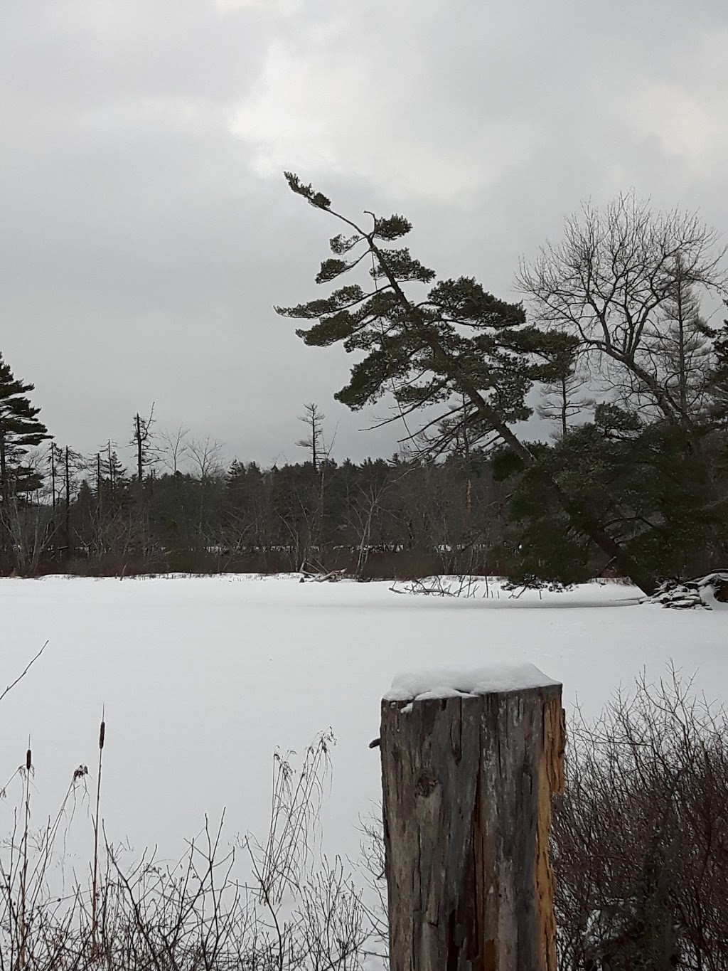 Sackville Lakes Provincial Park | 440 First Lake Dr, Lower Sackville, NS B4C 3L2, Canada | Phone: (888) 773-8888