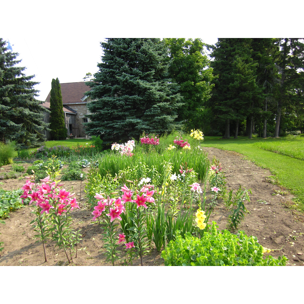 Serendipity Flower Farm- formerly Serendipity Florals | 424073 Taylor Side Rd, Kemble, ON N0H 1S0, Canada | Phone: (519) 270-4787
