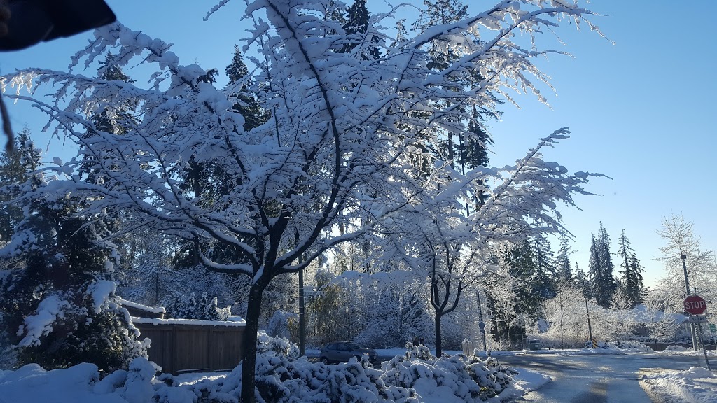 Noons Creek Park | 2500 Panorama Dr, Port Moody, BC V3H 5M3, Canada | Phone: (604) 927-3000