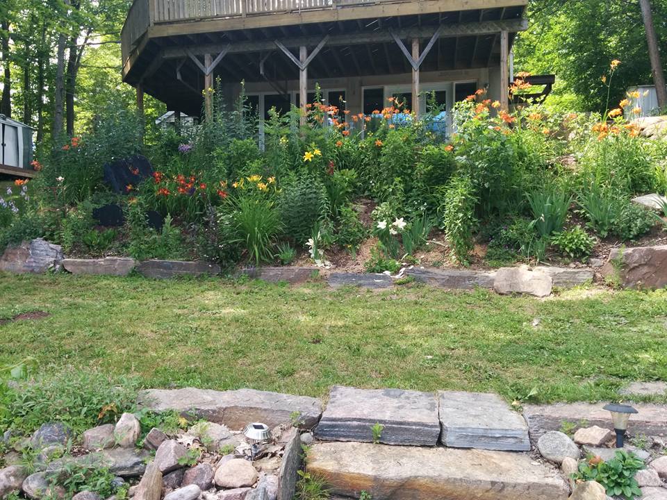 Pleasant View Cottage | 1137 Jones Rd, Algonquin Highlands, ON K0M 1J1, Canada | Phone: (416) 684-3317