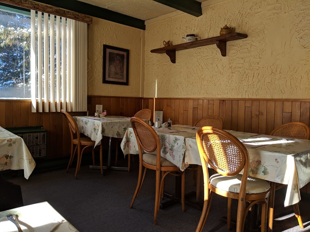 Auberge Mountain View Inn | 1177 Rue Labelle, Mont-Tremblant, QC J8E 2W5, Canada | Phone: (819) 425-3429
