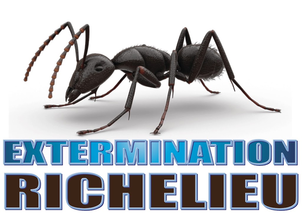 Extermination Richelieu | 249 Rue Jacques-Cartier S, Saint-Jean-sur-Richelieu, QC J3B 4J5, Canada | Phone: (450) 358-5360