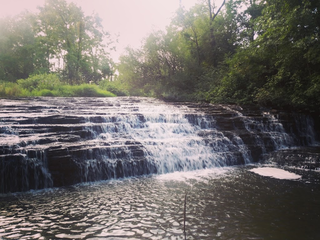 Shady Acres Picnic Grounds | Dundas, ON L9H 5E2, Canada | Phone: (905) 628-3060