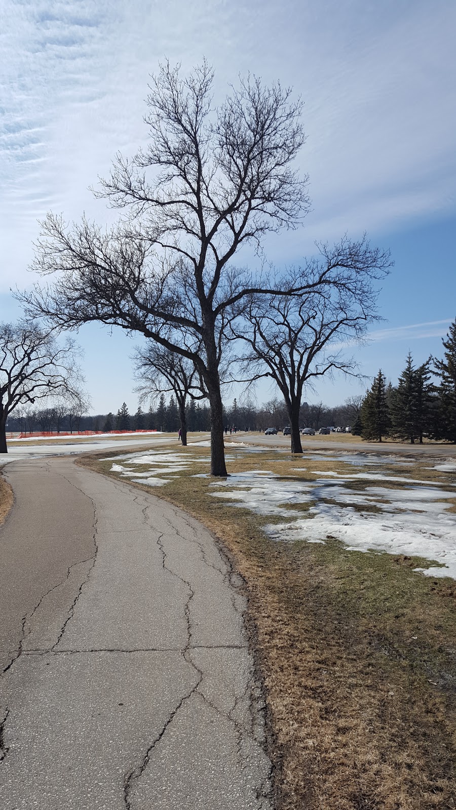 Bourkevale Park | 90 Ferry Rd, Winnipeg, MB R3J 1V7, Canada | Phone: (204) 888-1599