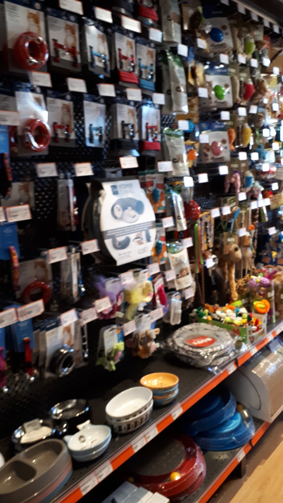 Chico - Boutique danimaux | Drummondville | 1125 Bd René-Lévesque, Drummondville, QC J2C 7V4, Canada | Phone: (819) 253-0244