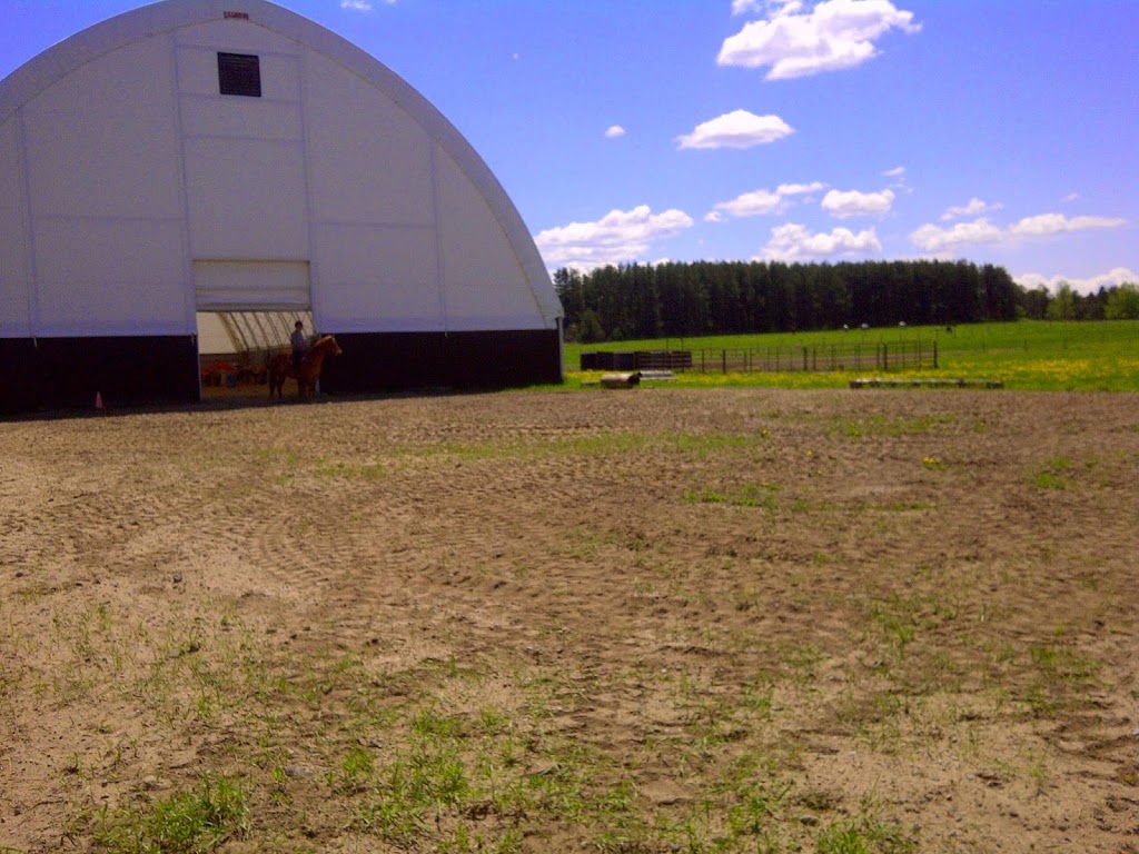 On the Forest Boarding | 17299 Kennedy Rd, Cedar Valley, ON L0G 1E0, Canada | Phone: (647) 836-0459