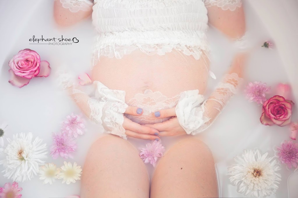 Elephant Shoe Photography | 49 Majesty Blvd, Barrie, ON L4M 0E4, Canada | Phone: (705) 715-2276