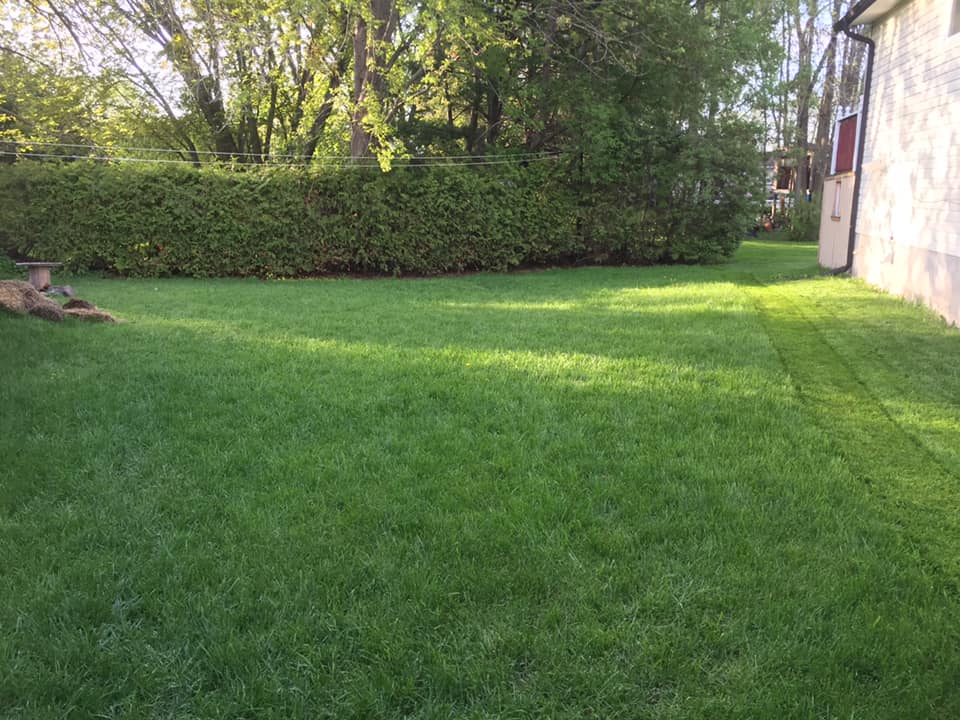 Seymours Lawn Care | Gill St, Coldwater, ON L0K 1E0, Canada | Phone: (705) 718-3426