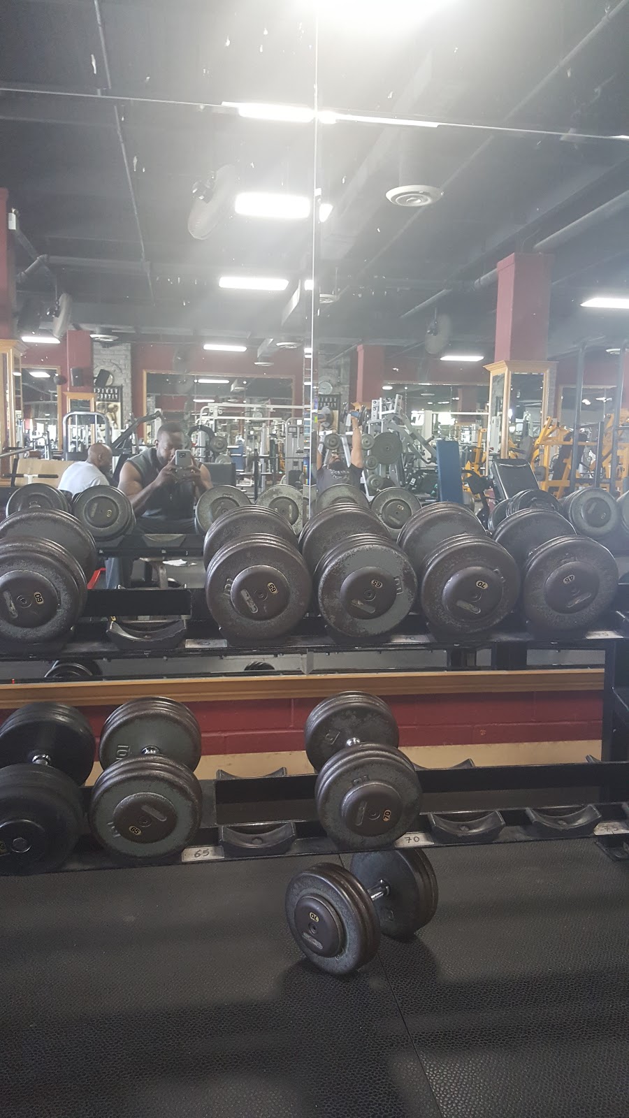 Venice Fitness | 750 Warden Ave, Scarborough, ON M1L 4A1, Canada | Phone: (416) 752-8364