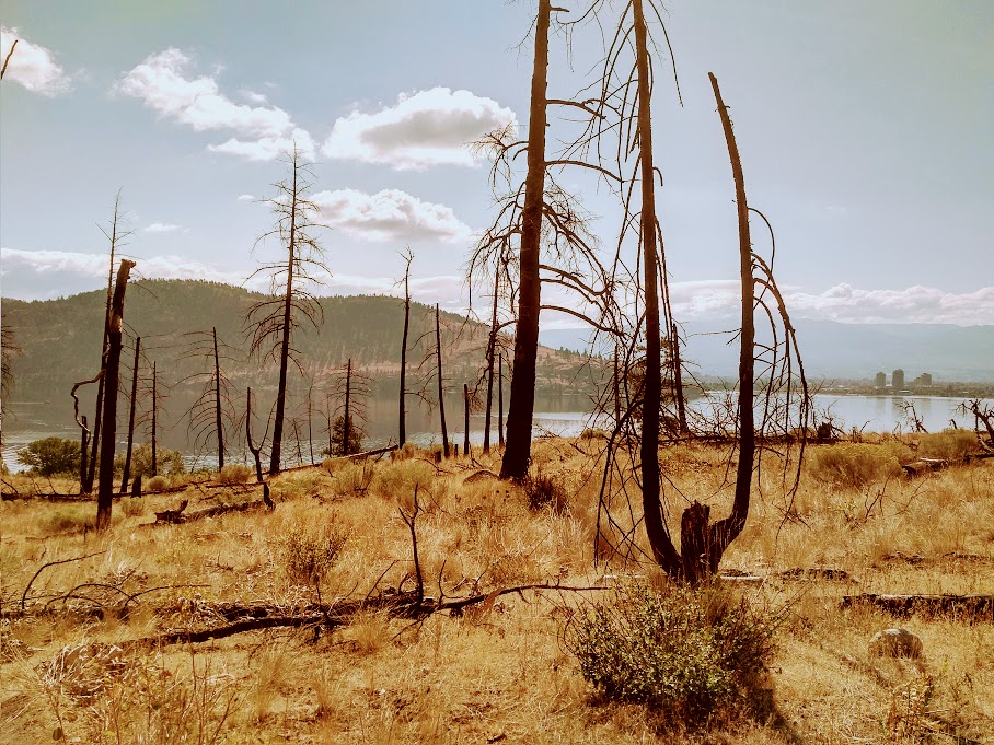 Bear Creek Provincial Park | Westside Rd, Central Okanagan G, BC V1Z 3S4, Canada | Phone: (250) 769-6825