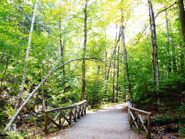 Gatineau Park | Hull, Gatineau, QC J9A, Canada