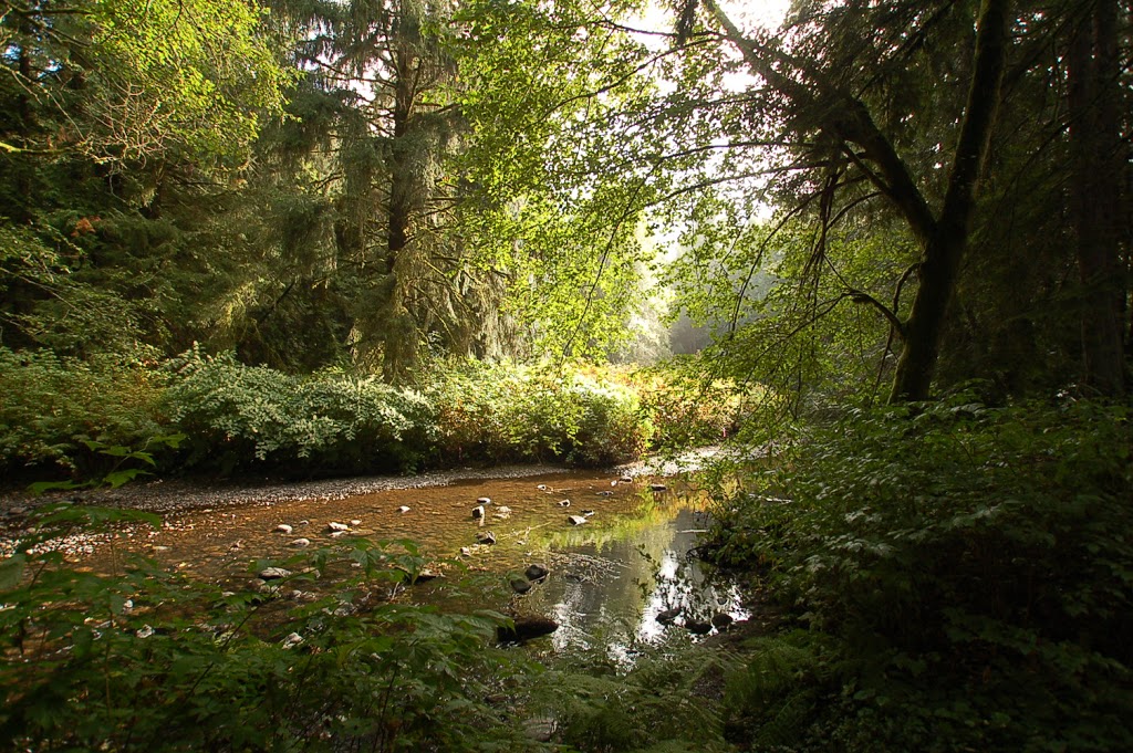 Friday Creek Campground | 4474 Friday Creek Rd, Burlington, WA 98233, USA | Phone: (360) 724-4811