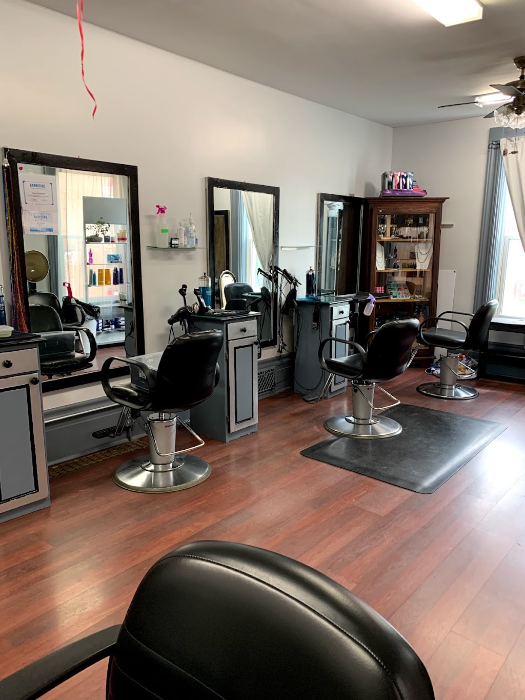 Techniques 4 Hair | 3 Albert St, Carleton Place, ON K7C 1P3, Canada | Phone: (613) 253-1244