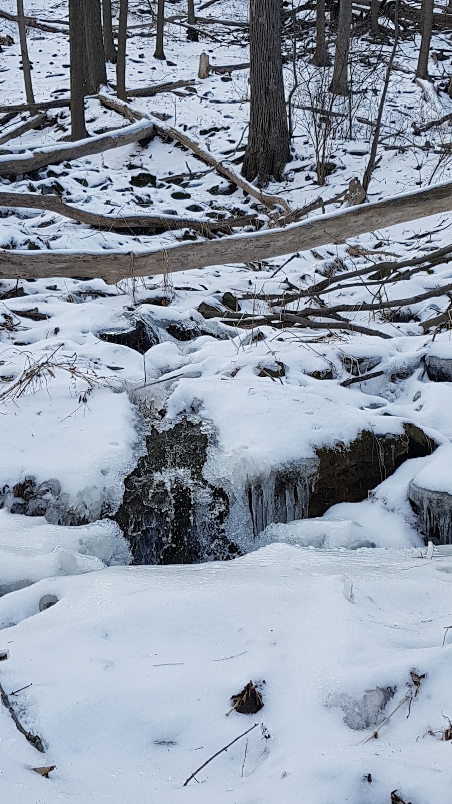 Lower Punchbowl Falls | 185 Ridge Rd, Stoney Creek, ON L8J 2W1, Canada