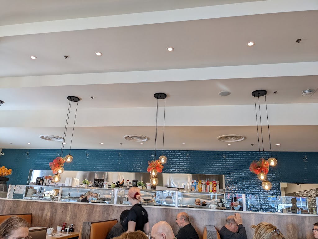 Petinos LaSalle | 7203 Bd Newman, LaSalle, QC H8N 2K3, Canada | Phone: (514) 419-6969