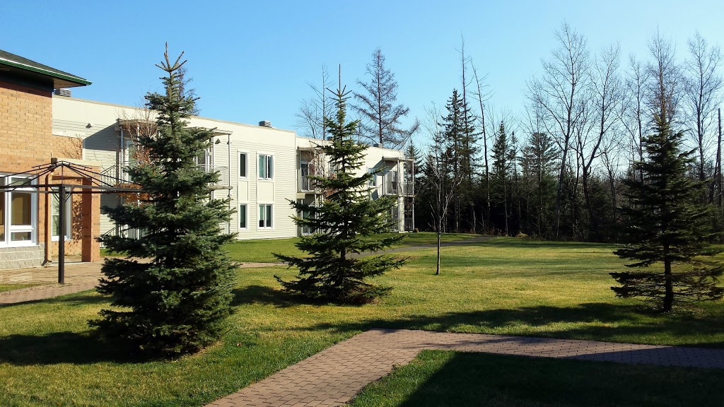 Résidence Breakeyville | 2270 Rue Sainte-Hélène, Lévis, QC G6Z 7L6, Canada | Phone: (418) 832-1758