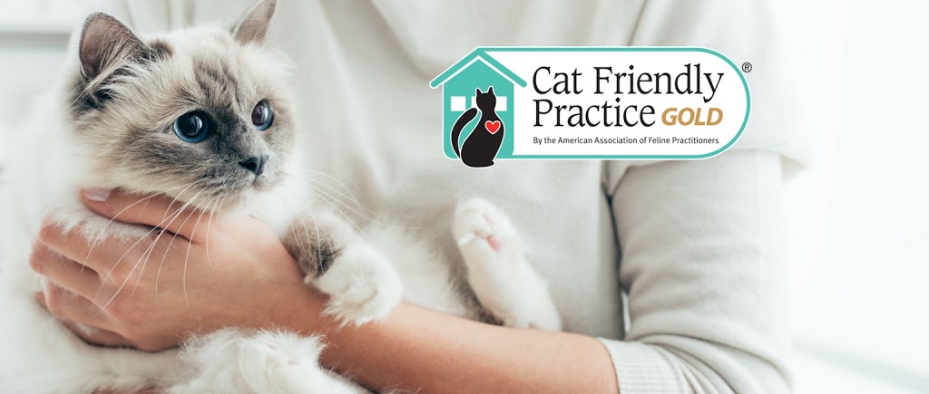 Killarney Cat Hospital | 3315 26 Ave SW, Calgary, AB T3E 0N2, Canada | Phone: (403) 246-1115