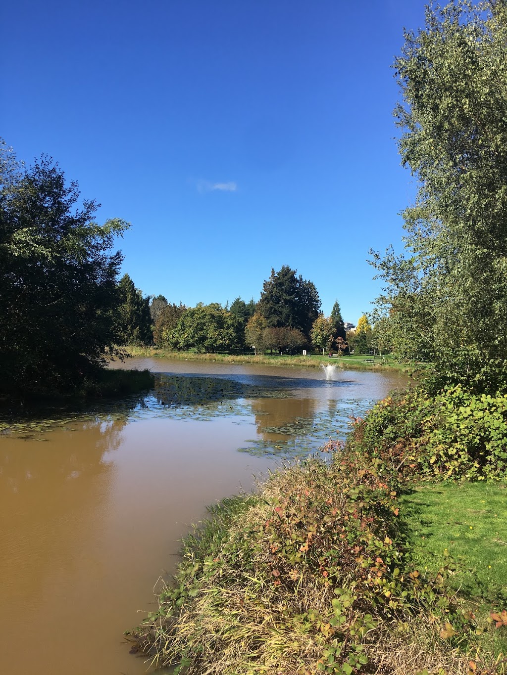 Garden City Park Lagoon | 6740 Garden City Rd, Richmond, BC V6Y 1P8, Canada
