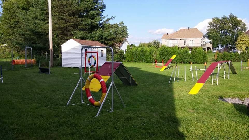 Centre Canin LeGardeur | 455 Chemin de la Presquîle, Repentigny, QC J5Z 4C7, Canada | Phone: (450) 470-1499