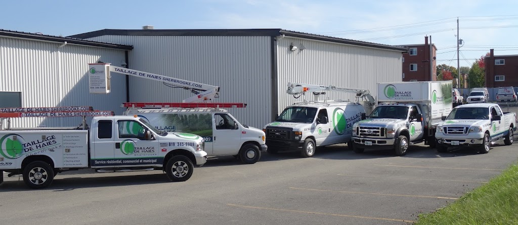 Taillage de haies Sherbrooke inc | 965 Rue Panneton, Sherbrooke, QC J1K 2B3, Canada | Phone: (819) 345-9909