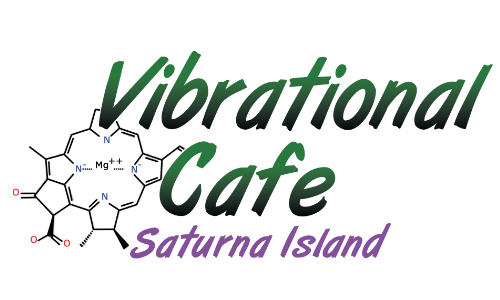 Vibrational Cafe | 100 E Point Rd, Saturna, BC V0N 2Y0, Canada | Phone: (604) 725-8897