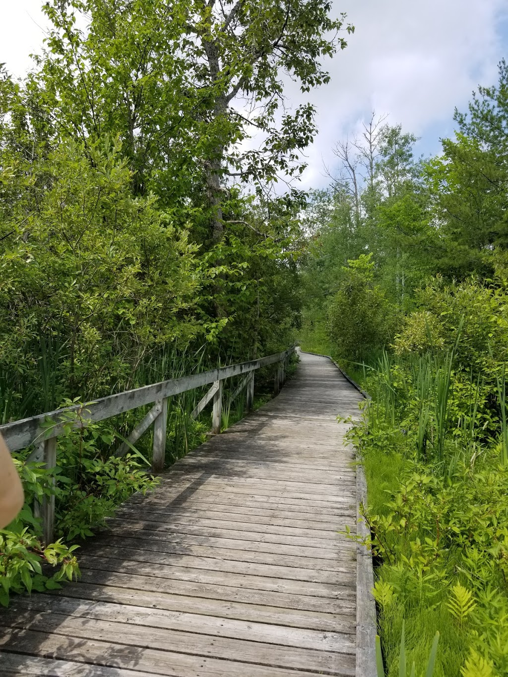 Bass Lake Provincial Park | 2540 Bass Lake Side Rd E, Orillia, ON L3V 6H2, Canada | Phone: (705) 326-7054