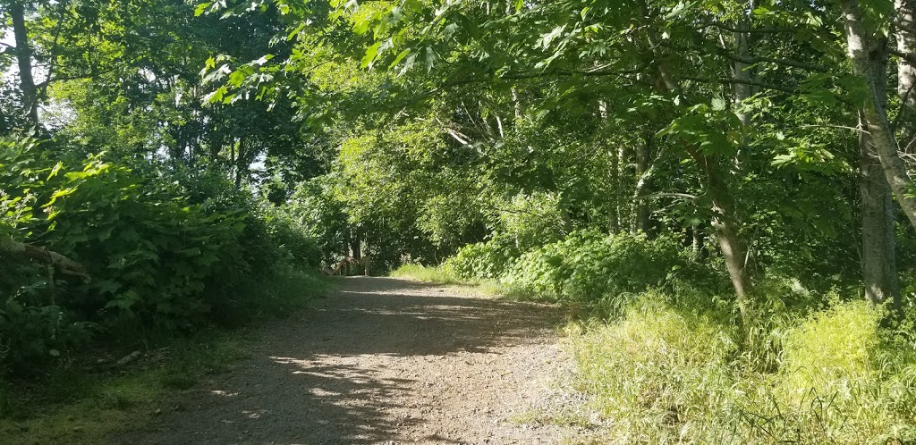 Icarus Park | Dover Community Association, Nanaimo, BC V9V 1B8, Canada | Phone: (250) 756-5200