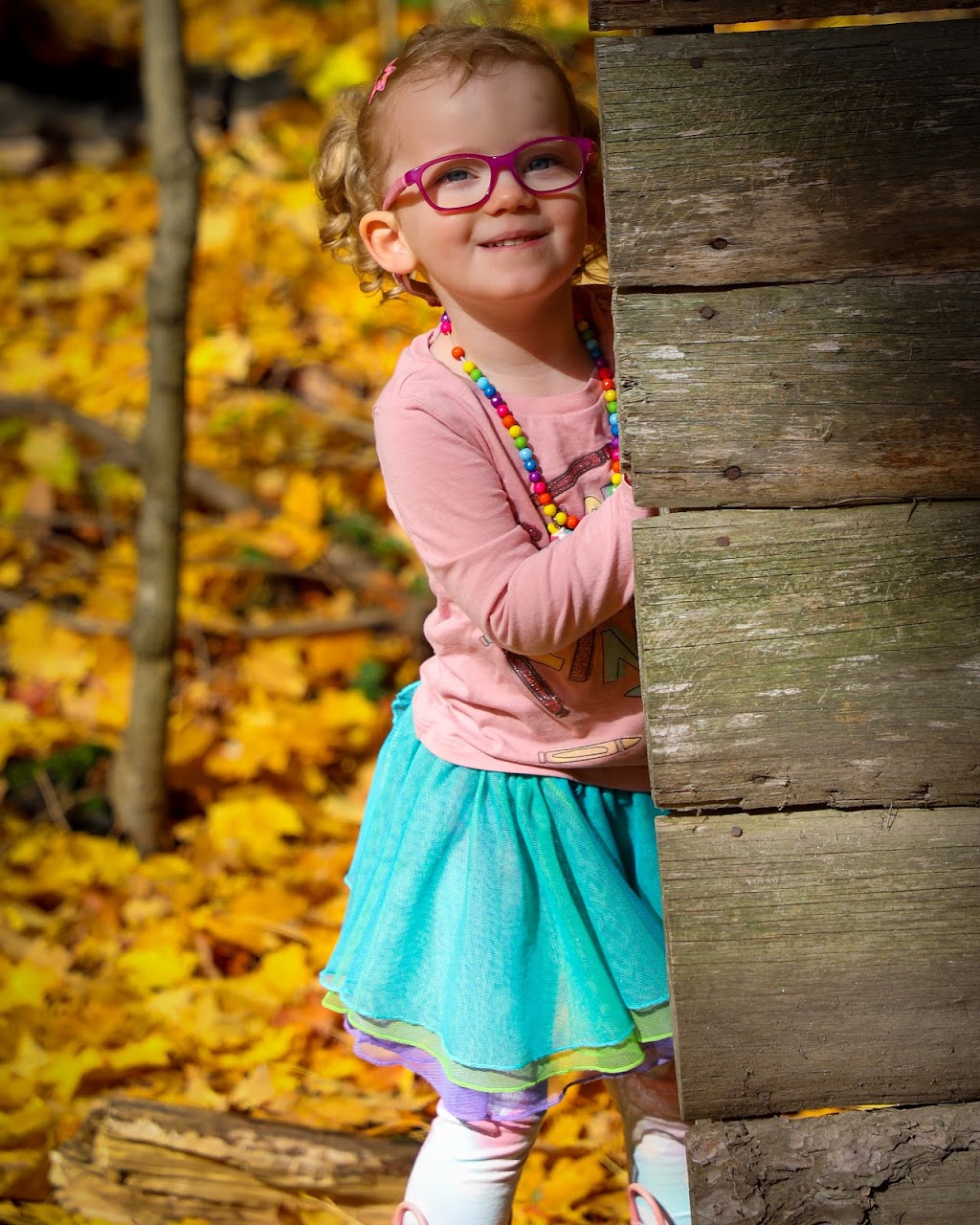 Elaine Wiltshire Photography | Sherrington Dr, Port Perry, ON L9L 2E1, Canada | Phone: (905) 626-3739