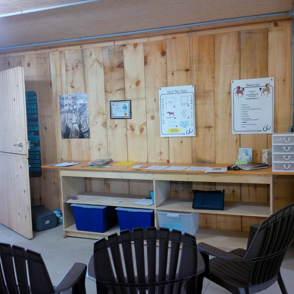 Leading Edge Equine Academy | 515588 11 Line, Woodstock, ON N4S 7V7, Canada | Phone: (226) 749-4830