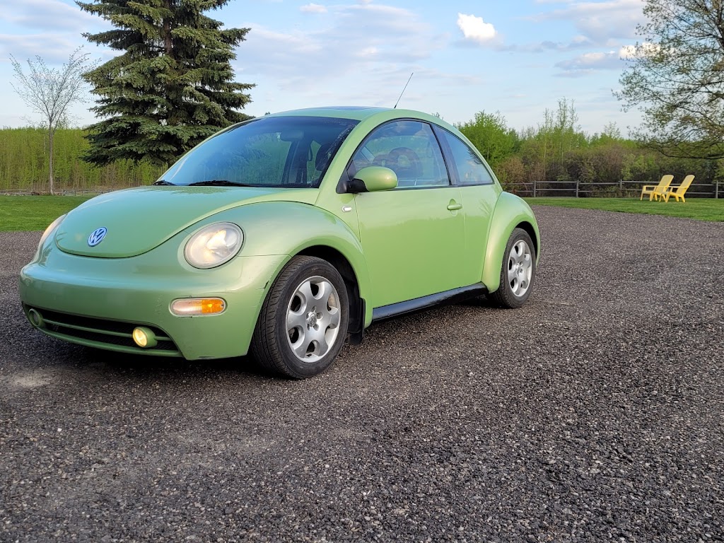 The Dent Lady | Glenwood Estates, Spruce Grove, AB T7Y 1B5, Canada | Phone: (780) 913-8610