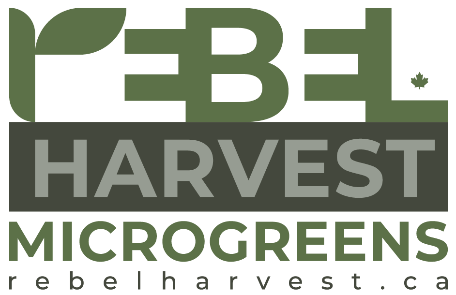 Rebel Harvest Microgreens | 30 Bryan Ct, Kitchener, ON N2A 4J5, Canada | Phone: (647) 860-2130