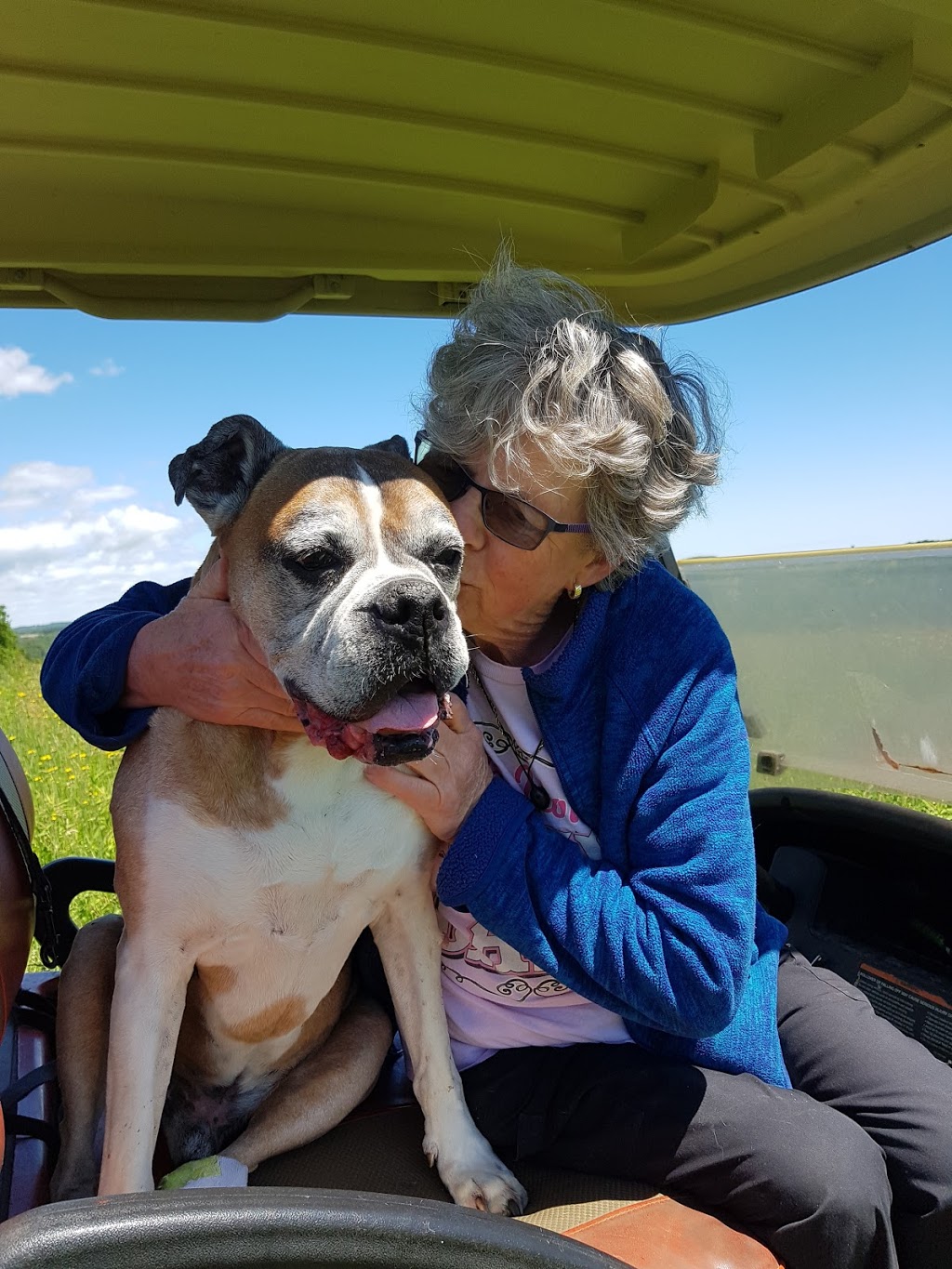 Rice Lake Animal Hospital | 9333 Northumberland County Rd 28, Bailieboro, ON K0L 1B0, Canada | Phone: (905) 797-2182