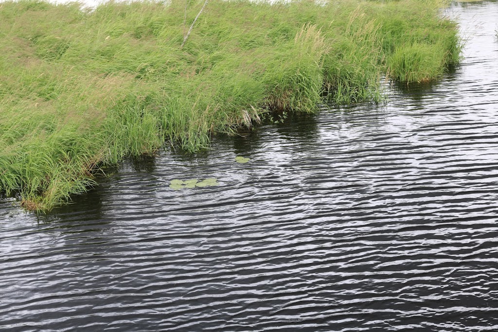 Wetland, River | 301-445 Golf Course Rd, Janetville, ON L0B 1K0, Canada