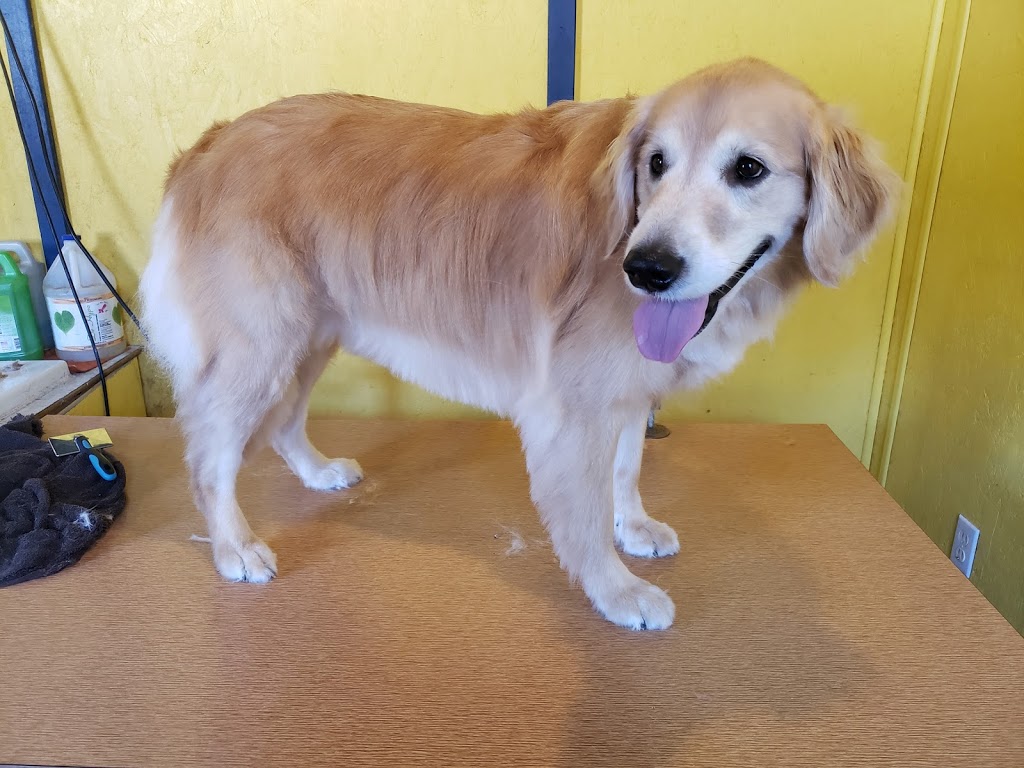 PawsAtively Divine Pet Grooming | 136 NB-121, Bloomfield, NB E5N 7V1, Canada | Phone: (506) 653-7393