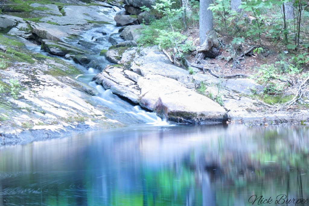 Portneuf Natural Regional Park | 421 Rue Principale, Saint-Alban, QC G0A 3B0, Canada | Phone: (418) 284-4232