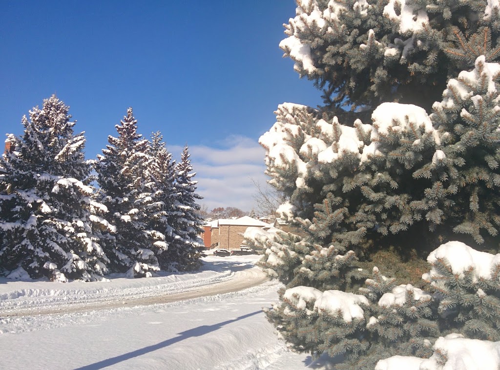 Leacock Park | 6K2, 280 Leacock Dr, Barrie, ON L4N 7V9, Canada
