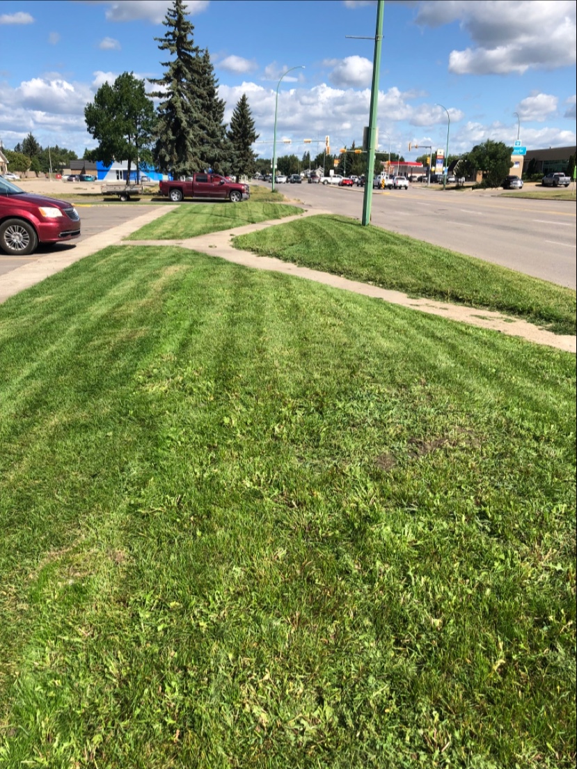 TLS LawnCare and Landscaping | 15 St NW, Prince Albert, SK S6V5S4, SK S0J 2N0, Canada | Phone: (306) 960-3430