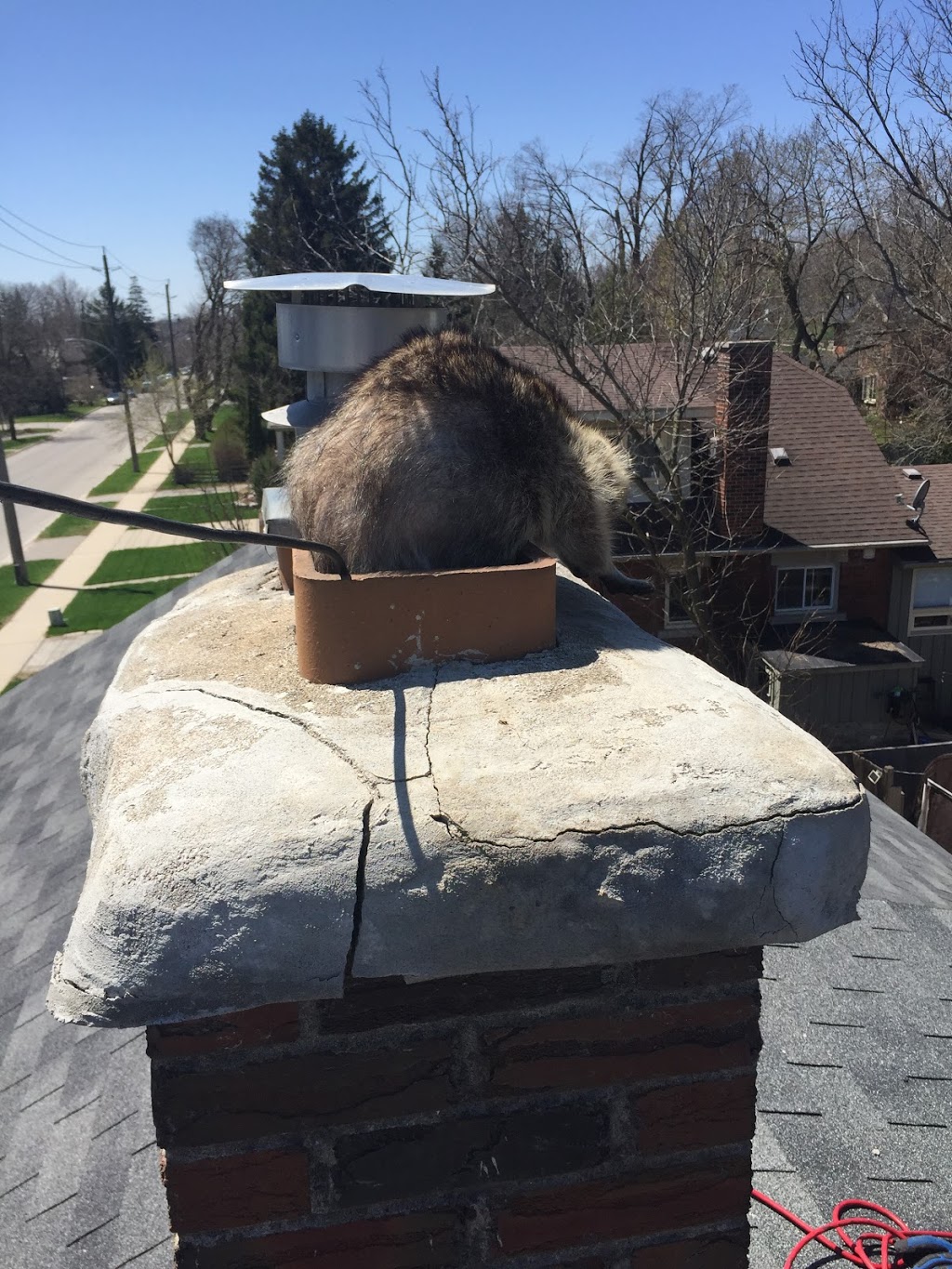 Innovative Wildlife Solutions | 20 Firella Pl, Wellesley, ON N0B 2T0, Canada | Phone: (226) 218-7828