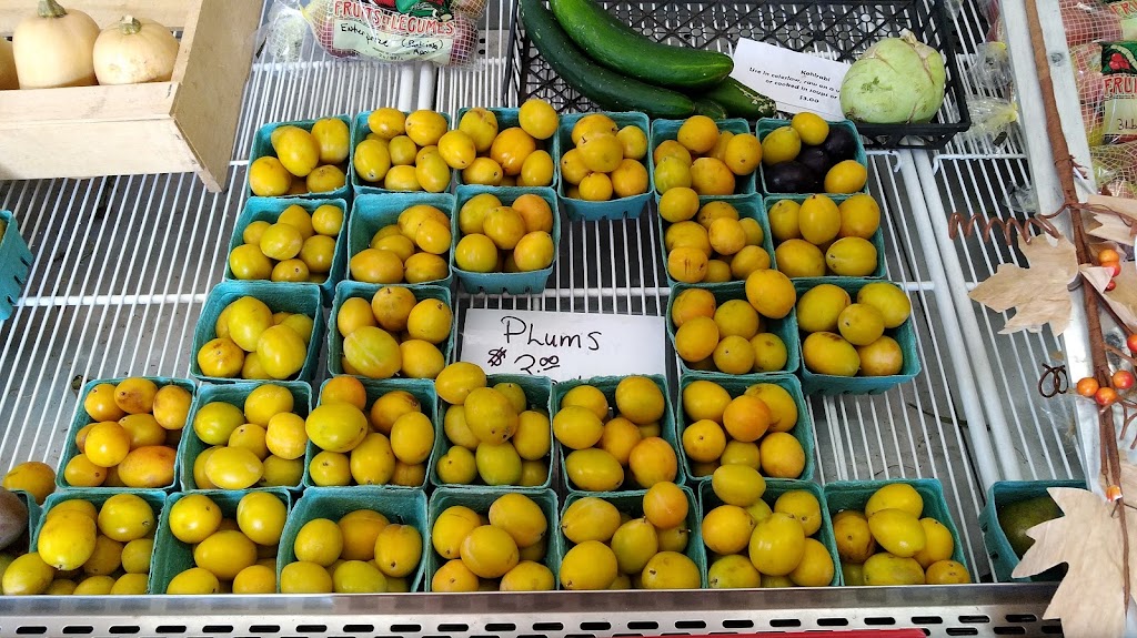 The Grove Orchard And U-Pick | 2100 PE-248, Warren Grove, PE C0A 1H5, Canada | Phone: (902) 628-7434