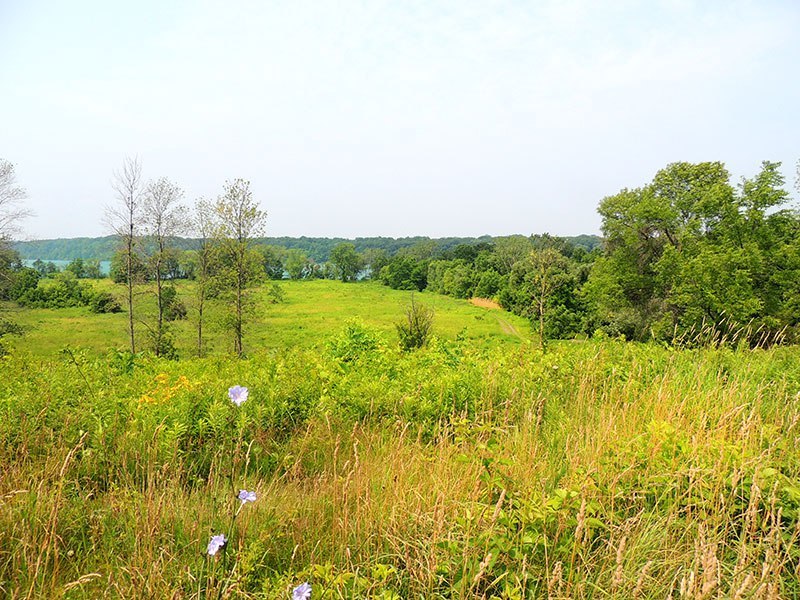 Stella Niagara Preserve | 4214-4448 Lower River Rd, Lewiston, NY 14092, USA | Phone: (716) 687-1225