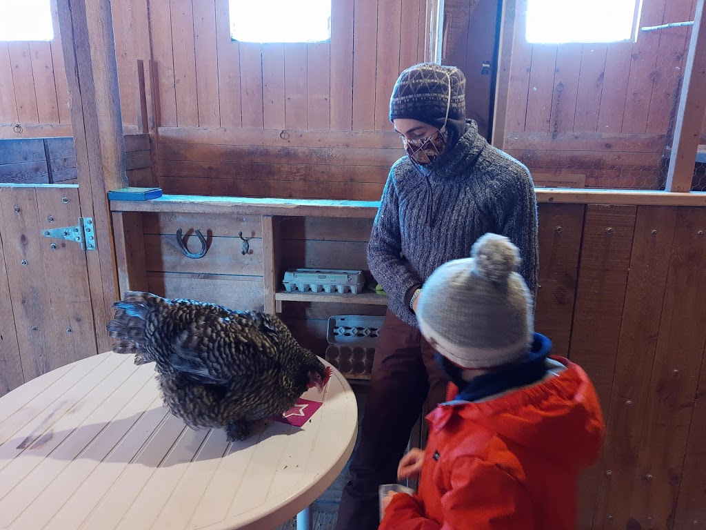 Ferme Résilience | 241 Rang du Pied de la Montagne, Sainte-Mélanie, QC J0K 3A0, Canada | Phone: (450) 365-5436