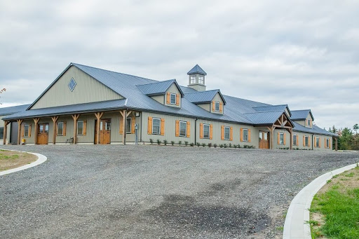 AA Equestrian | 6490 Guelph Line, Burlington, ON L7P 0A9, Canada | Phone: (905) 702-4064