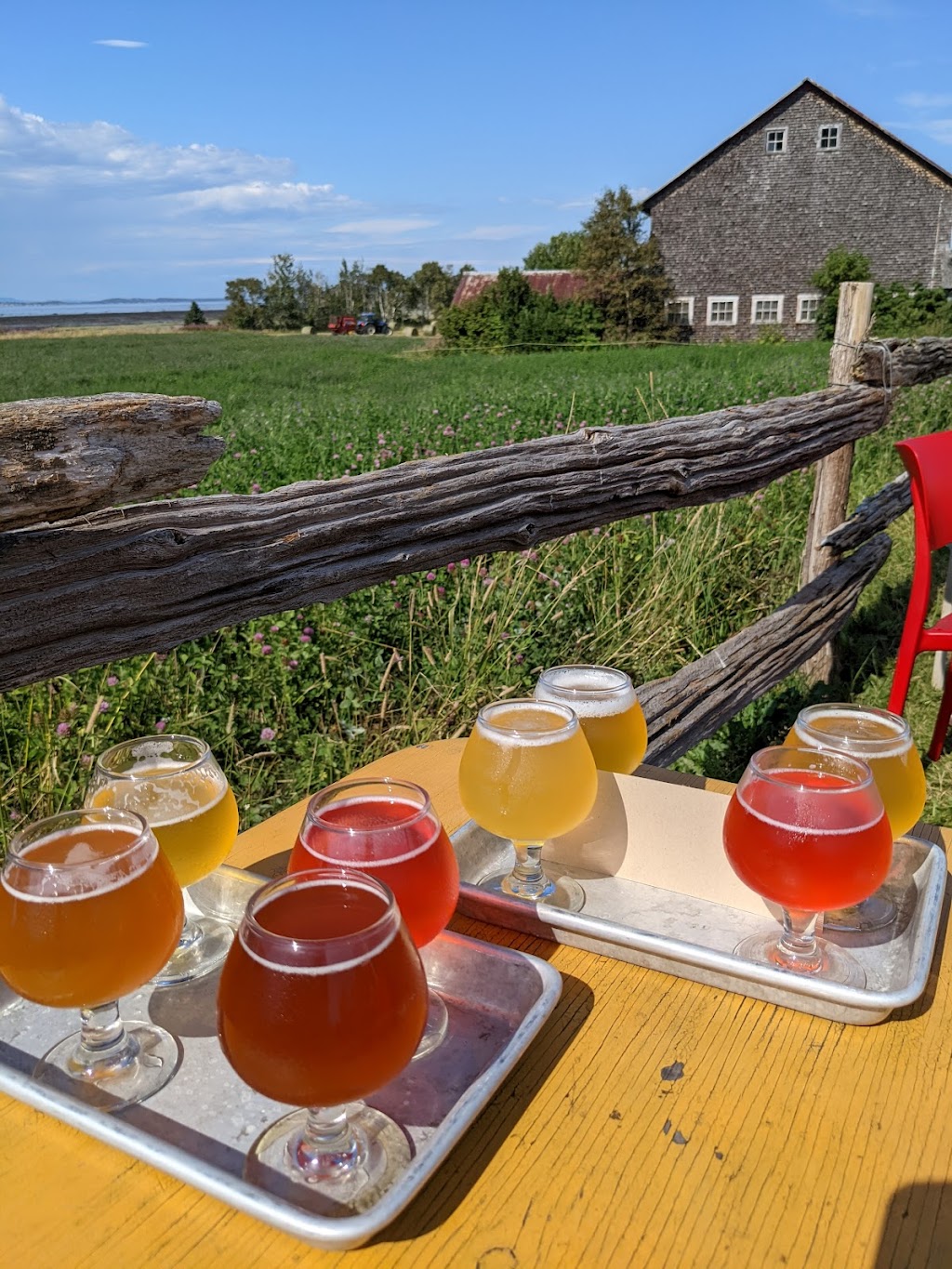 Tête dAllumette - Microbrasserie | 265 route 132 ouest, Saint-André-de-Kamouraska, QC G0L 2H0, Canada | Phone: (418) 493-2222