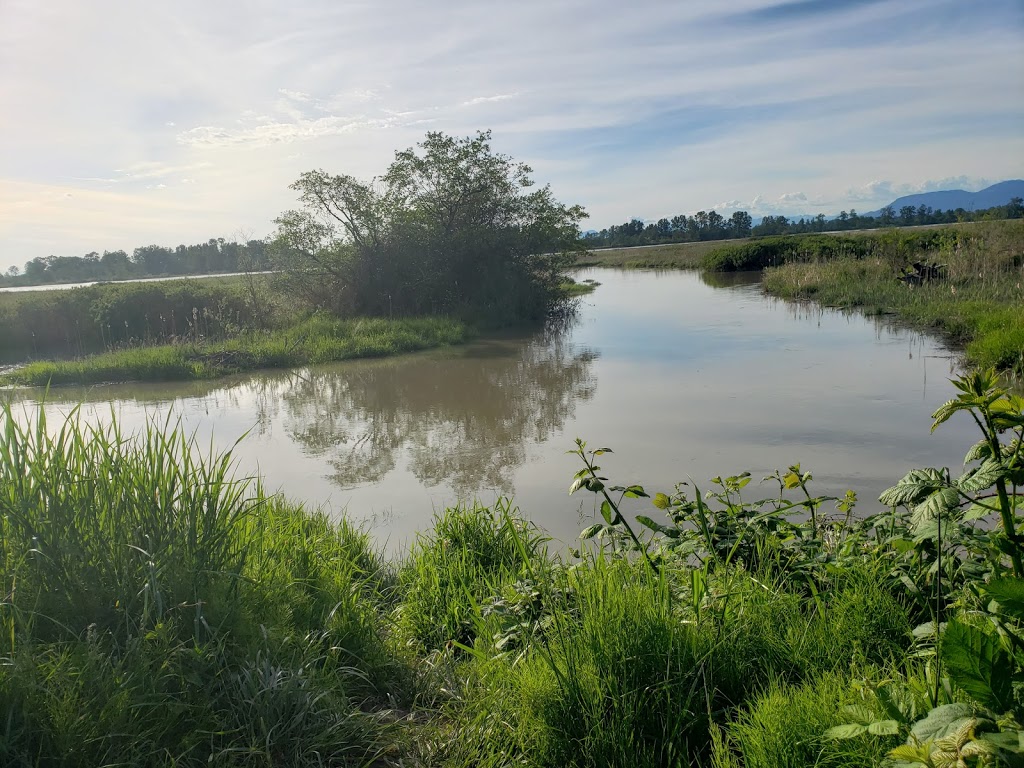 Mcneeleys Trail | 5011 River Rd, Delta, BC V4K 4V9, Canada