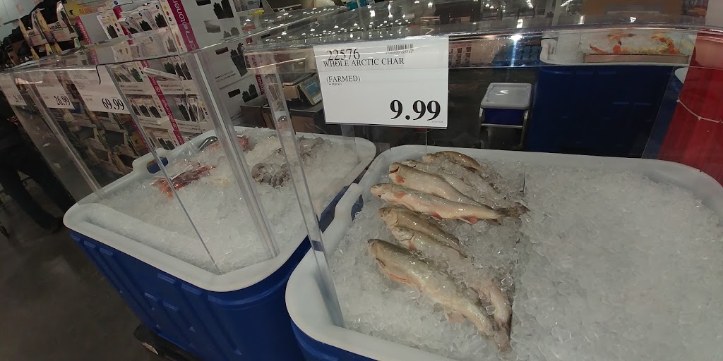 Costco | Anaquod Road, Regina, SK S4V 2Z6, Canada
