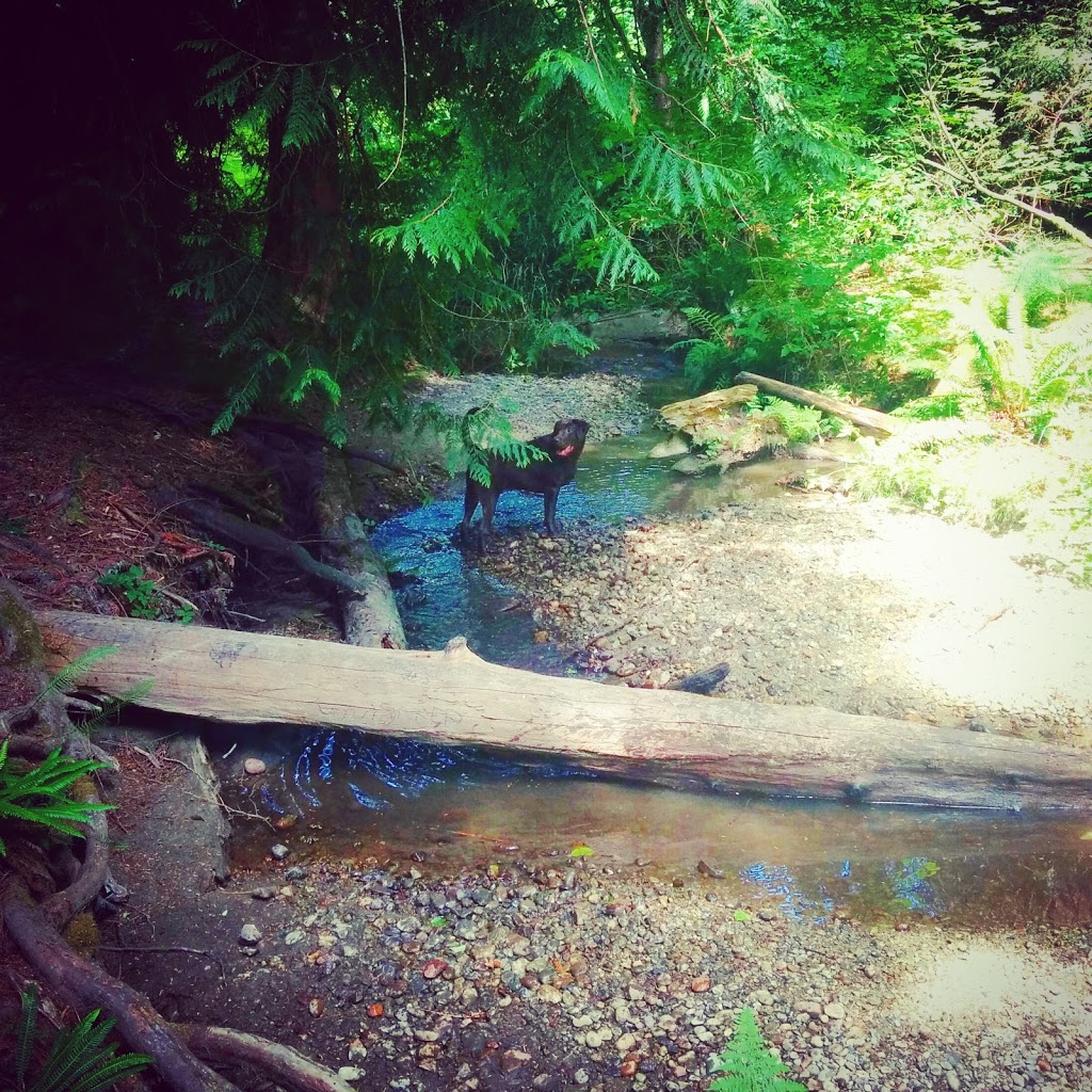 East Grove Park | 9251 Ash Grove Crescent, Burnaby, BC V5A 4A5, Canada | Phone: (604) 294-7450