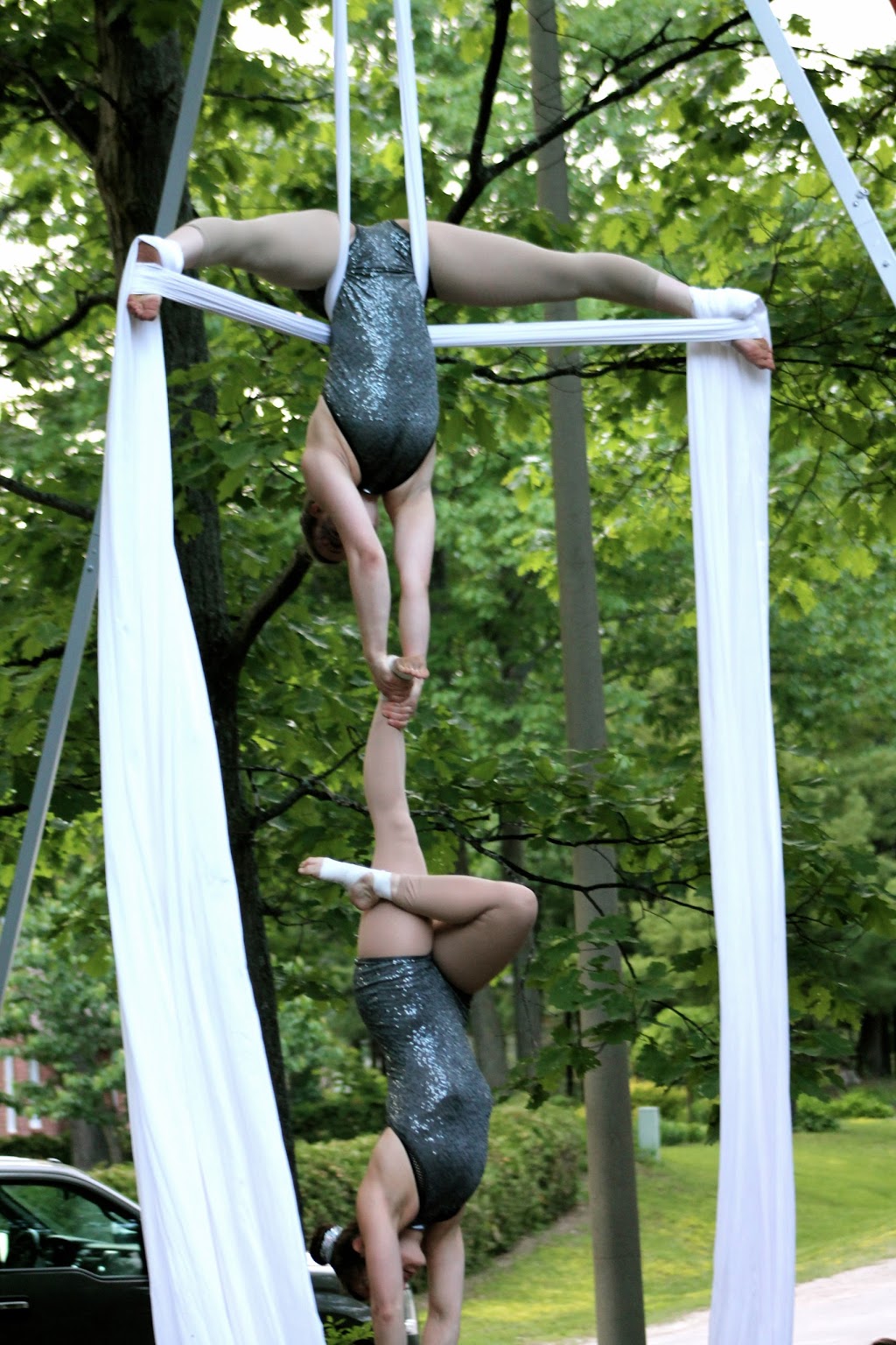 Collingwood Circus Club | 95 Sandford Fleming Dr, Collingwood, ON L9Y 5A6, Canada | Phone: (705) 444-9675
