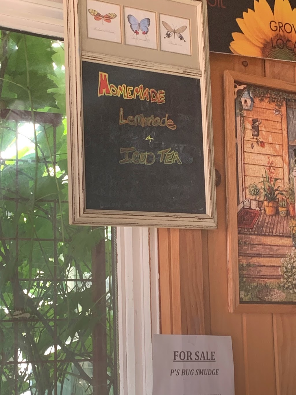 The Old School Cafe, Laundry & Greenhouses | 3 Meadowlark Rd, Combermere, ON K0J 1L0, Canada | Phone: (613) 756-9729