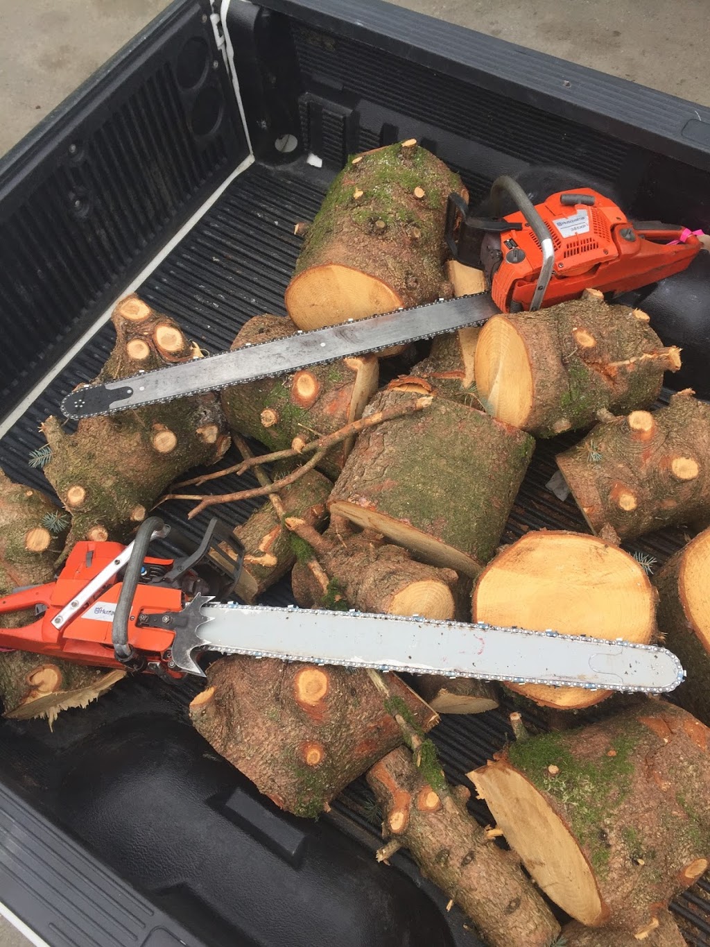 Central Valley Tree & Arborist Services LTD. | 933 Coutts Way, Abbotsford, BC V2S 7M2, Canada | Phone: (604) 853-1986